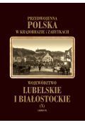 Województwo lubelskie i białostockie Tom 10