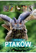 Atlas ptaków