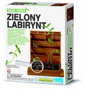 Zielony labirynt