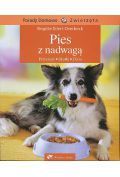 Pies z nadwagą