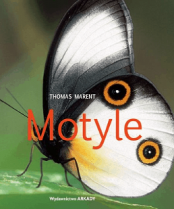 Motyle - Thomas Marent