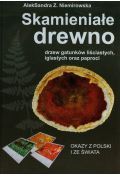 Skamieniałe drewno drzew gatunków liściastych, iglastych oraz paproci. Okazy z Polski i ze świata