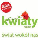 Kwiaty polne Świat wokół nas