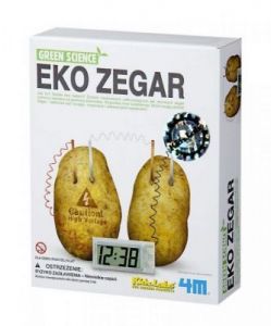 Eko zegar