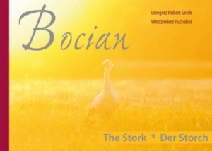 Album "Bocian" - Gerek Grzegorz Hubert