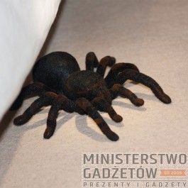 Zdalnie Sterowana Tarantula