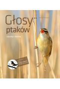 Głosy ptaków Tom 2 + CD