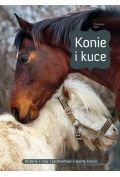 Konie i kuce