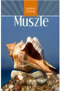 Muszle