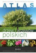 Atlas drzew i krzewów polskich