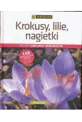 Krokusy, lilie, nagietki