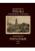 Województwo poznańskie