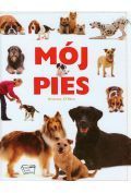 Mój pies