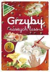 Grzyby naszych lasów - Grażyna Maternicka