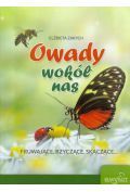 Owady wokół nas