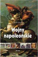 Wojny napoleońskie - Sławomir Leśniewski