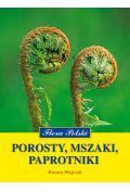 Porosty mszaki paprotniki