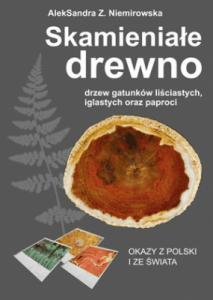 Skamieniałe drewno drzew gatunków liściastych, iglastych oraz paproci. Okazy z Polski i ze świata -